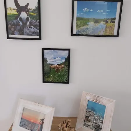 Tramontana Cala En Porter (Menorca)